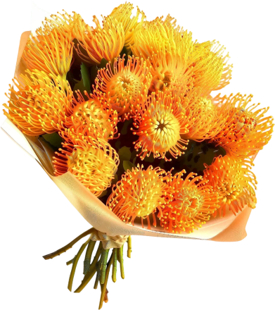 Нутанс (Nutans) 30-45 см 10вет/букет